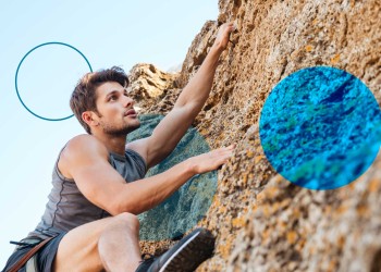 The testosterone myth: what really drives male performance